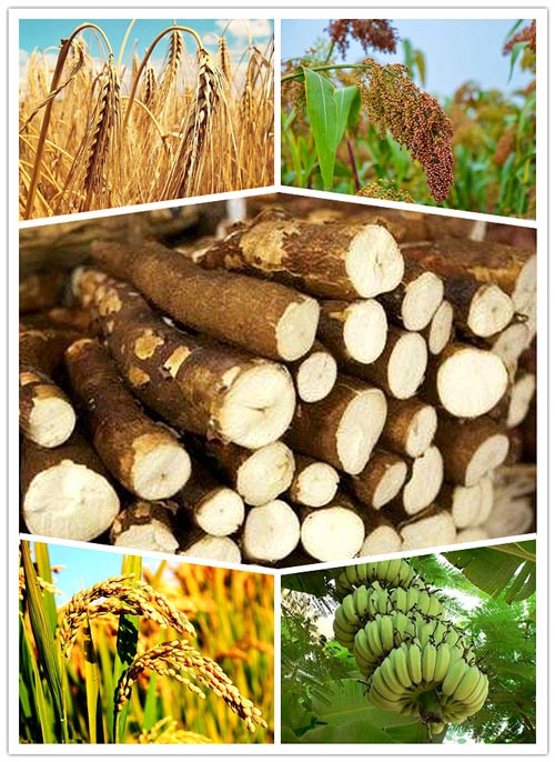 20t/j ligne de production de farine de manioc installée en Afrique