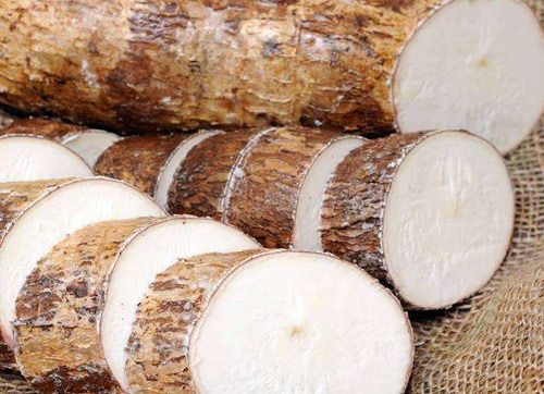 Équipement complet d'amidon de manioc