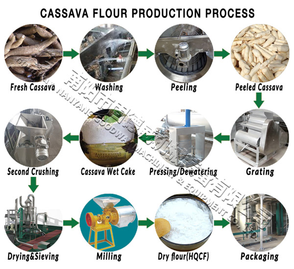 processus de production de farine de manioc