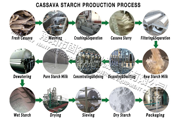 processus de production d'amidon de manioc