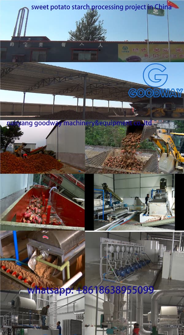 Projet de traitement de l'amidon de patate douce en Chine