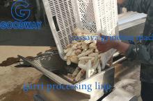 Machine de râpe à manioc (machine de broyage de manioc)