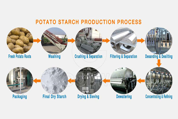 potato-starch-processing-plant_1611282622.jpg