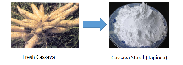 Machine de traitement de l'amidon de manioc (tapioca)