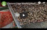 Machine à laver les cages de manioc