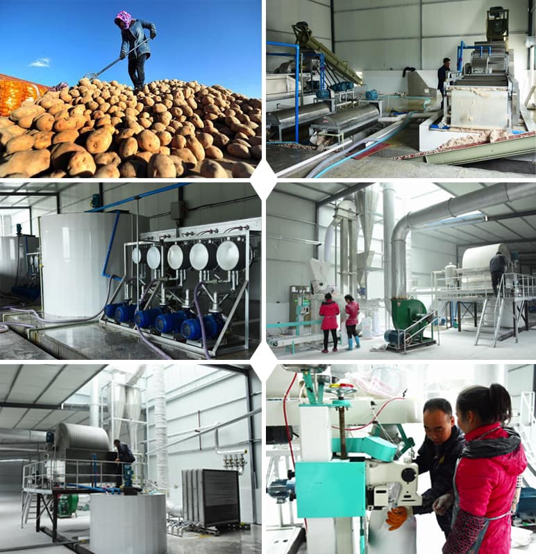 Cas de projet : Usine locale de transformation de la fécule de pomme de terre en Chine Capacité : 300 tonnes par pomme de terre fraîche d'entrée par jour Lieu : en Chine