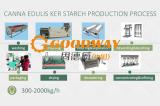 Usine de traitement d'amidon de Canna Edulis Ker