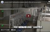 Hydracyclone d'amidon de manioc Affinage et concentration d'amidon de manioc